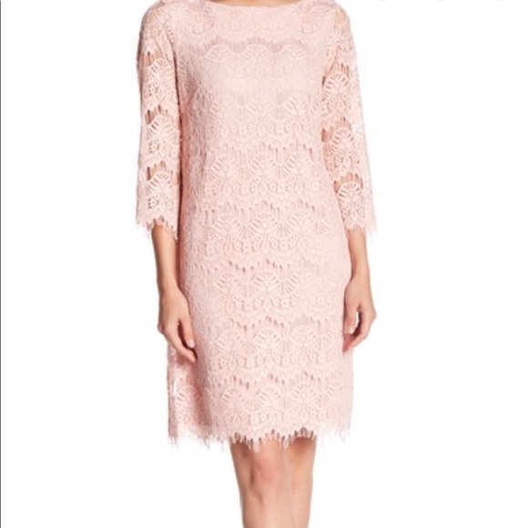 Eliza J Quarter Sleeve Lace Dress (Sold in Purple) - Picture 1 of 6